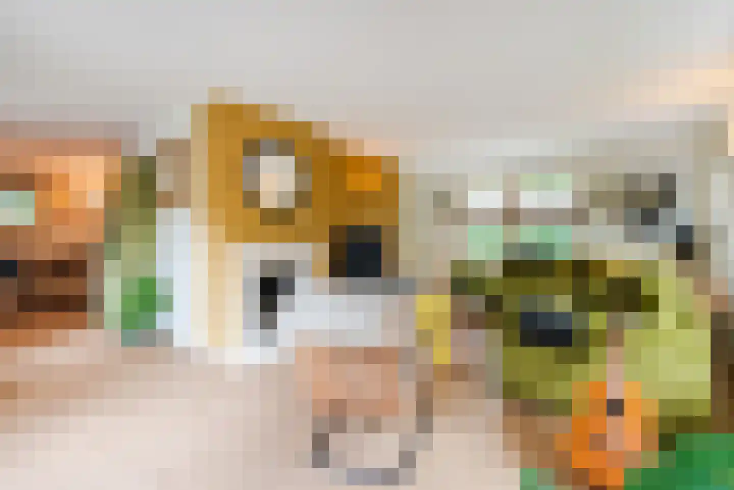 Immenweg 15 23 Lunteren thumbnail 9