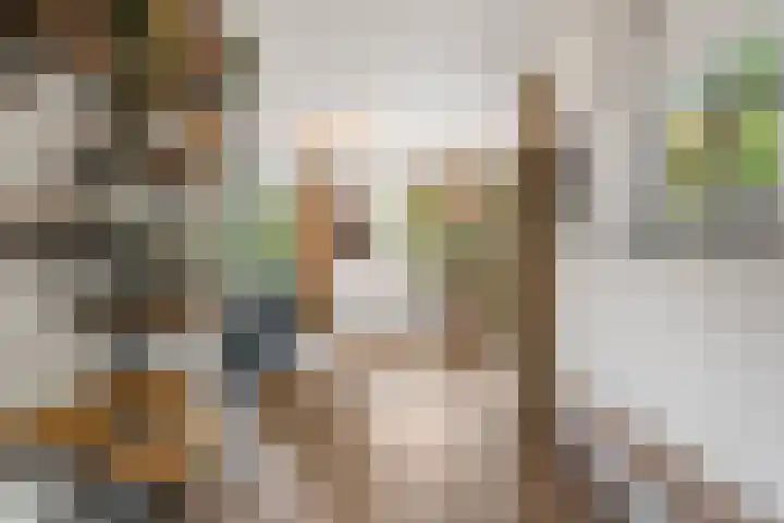 Immenweg 15 44 Lunteren thumbnail 11
