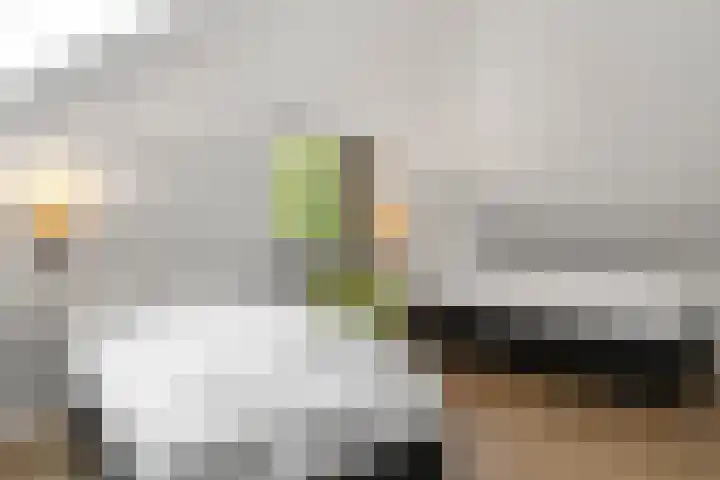 Immenweg 15 44 Lunteren thumbnail 18