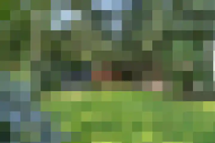 Immenweg 15 44 Lunteren thumbnail 33