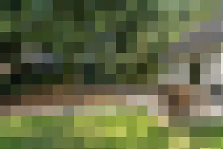 Immenweg 15 44 Lunteren thumbnail 34