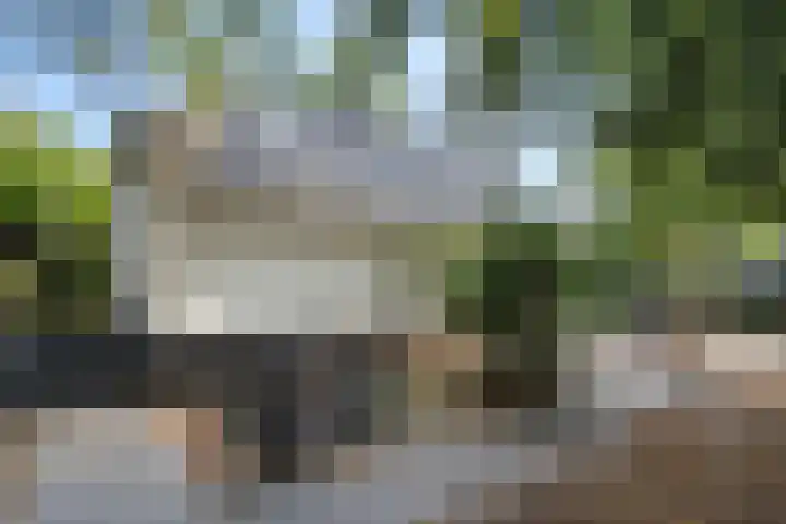 Immenweg 15 44 Lunteren thumbnail 35