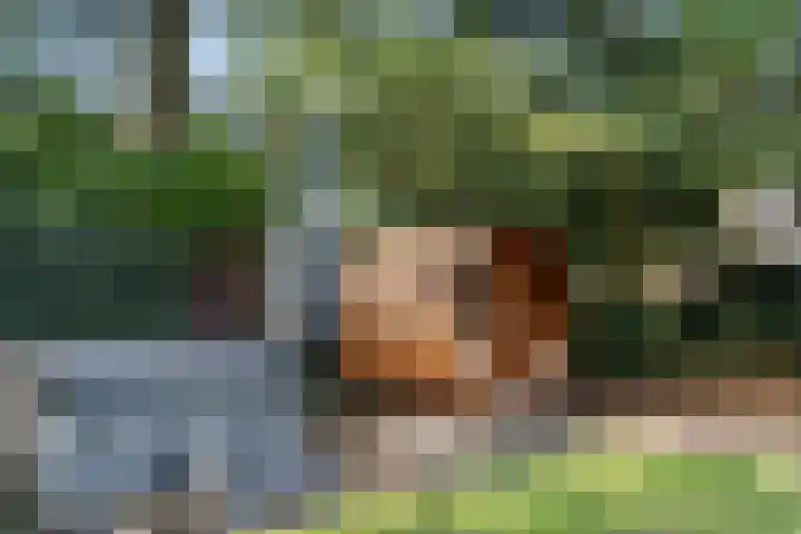 Immenweg 15 44 Lunteren thumbnail 36