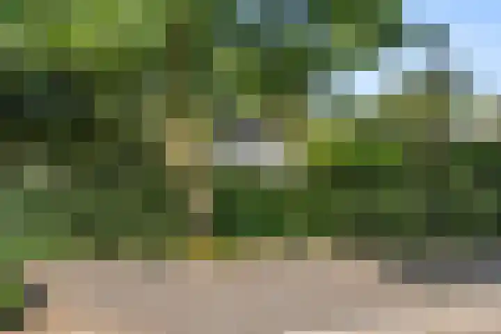 Immenweg 15 44 Lunteren thumbnail 38
