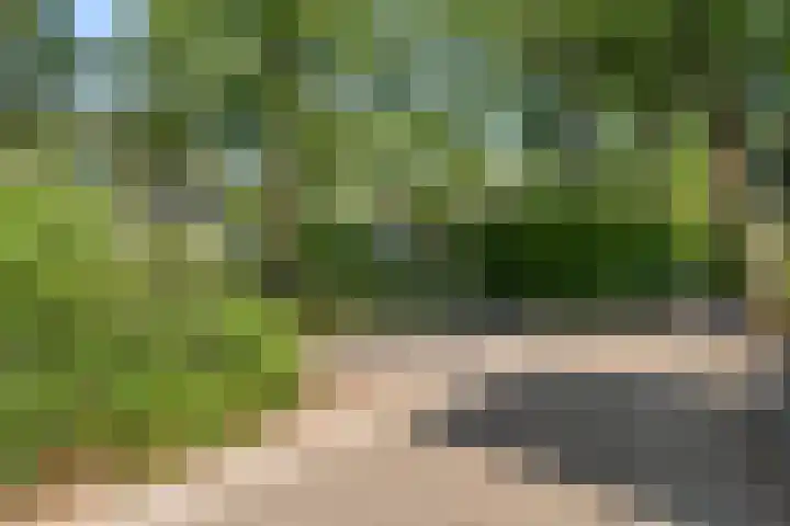 Immenweg 15 44 Lunteren thumbnail 39