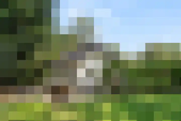 Immenweg 15 44 Lunteren thumbnail 4