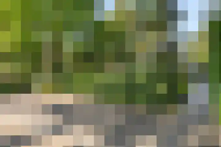 Immenweg 15 44 Lunteren thumbnail 40