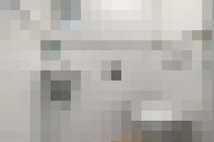 Immenweg 15 44 Lunteren thumbnail 7