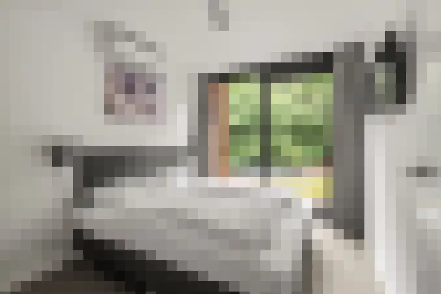 Immenweg 15 518 Lunteren thumbnail 15