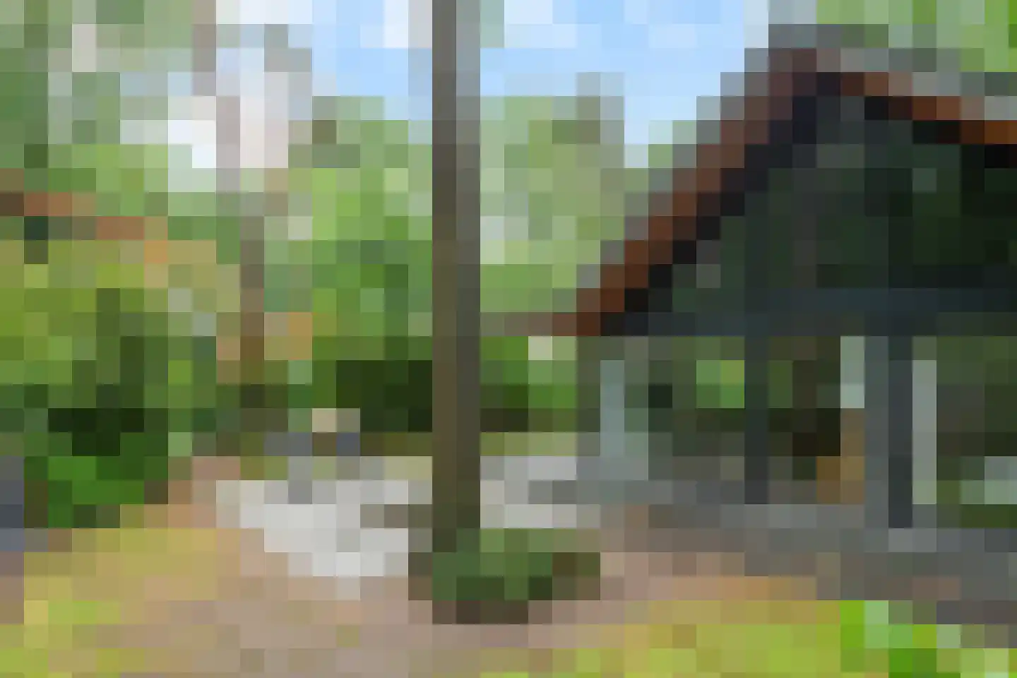 Immenweg 15 518 Lunteren thumbnail 37