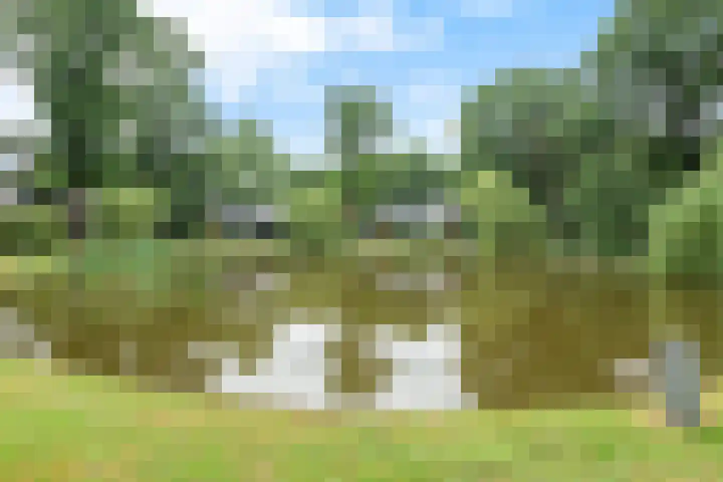 Immenweg 15 518 Lunteren thumbnail 41