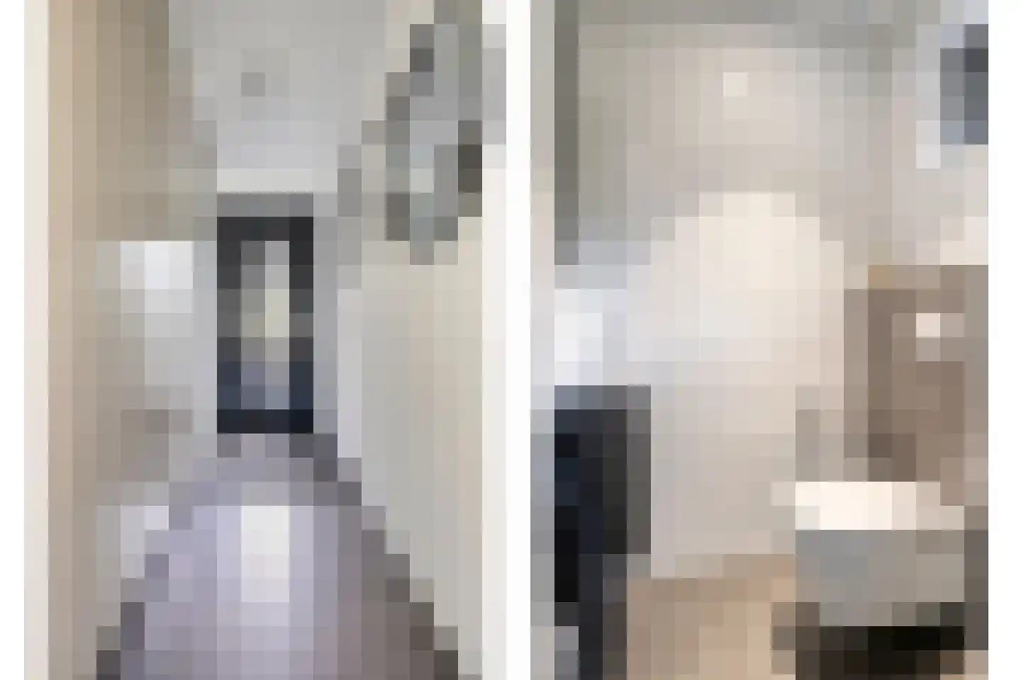 Immenweg 15 529 Lunteren thumbnail 15
