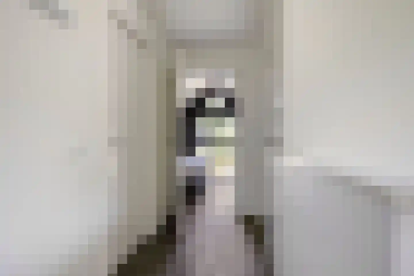 Immenweg 15 529 Lunteren thumbnail 17
