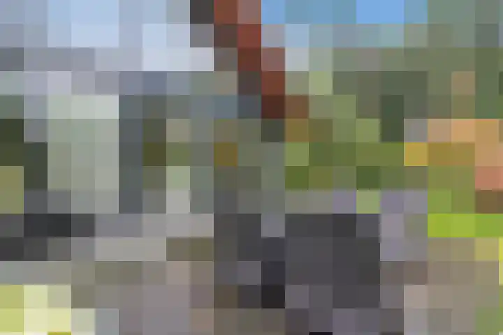 Immenweg 15 529 Lunteren thumbnail 26