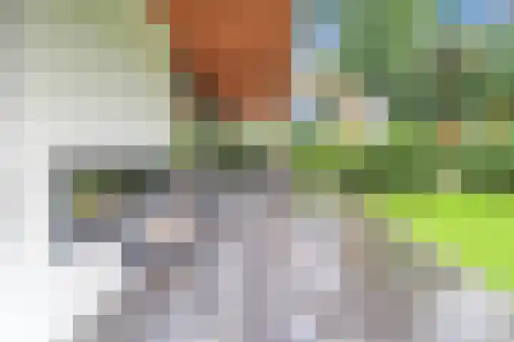 Immenweg 15 529 Lunteren thumbnail 28