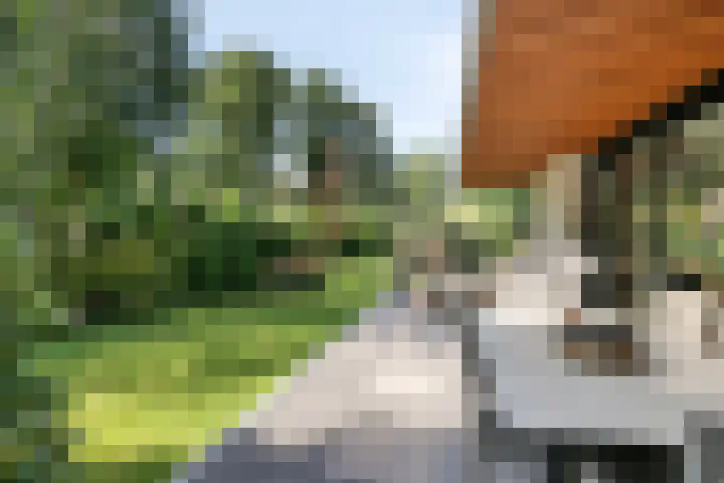 Immenweg 15 529 Lunteren thumbnail 29