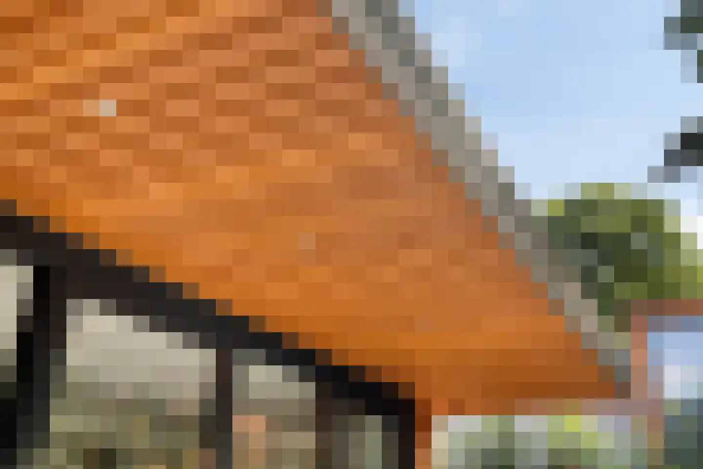 Immenweg 15 529 Lunteren thumbnail 31