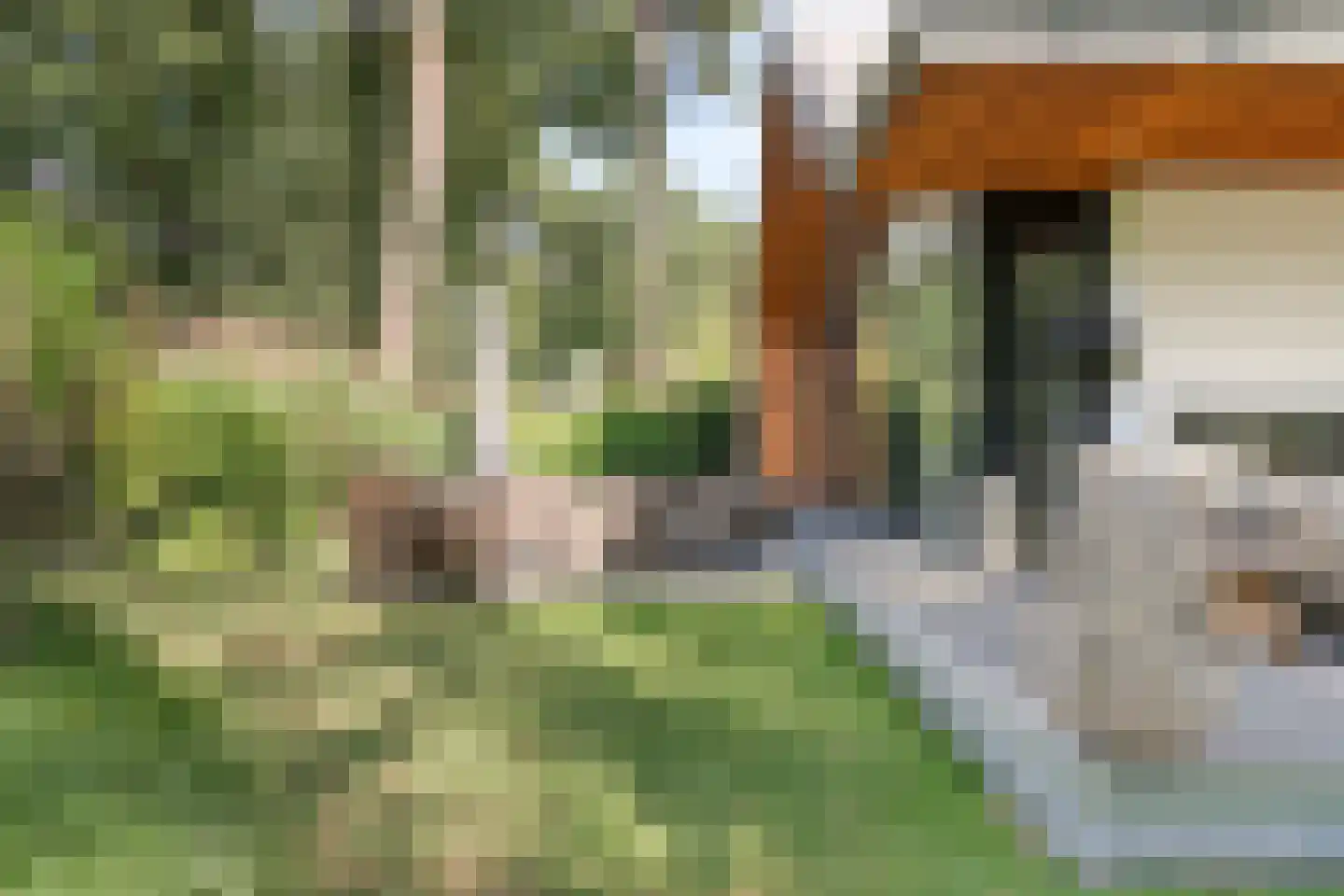 Immenweg 15 529 Lunteren thumbnail 32
