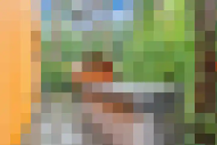 Immenweg 15 529 Lunteren thumbnail 32