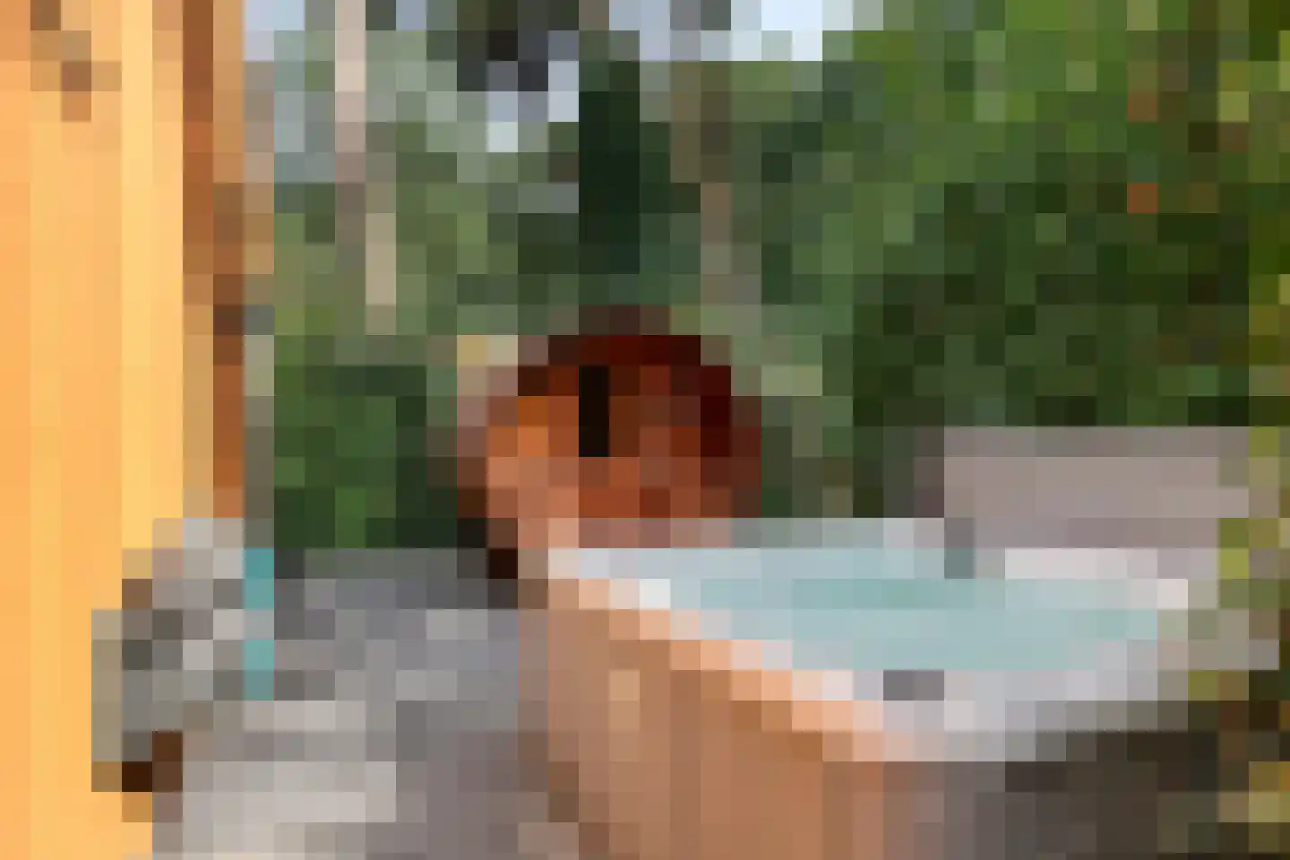 Immenweg 15 529 Lunteren thumbnail 35