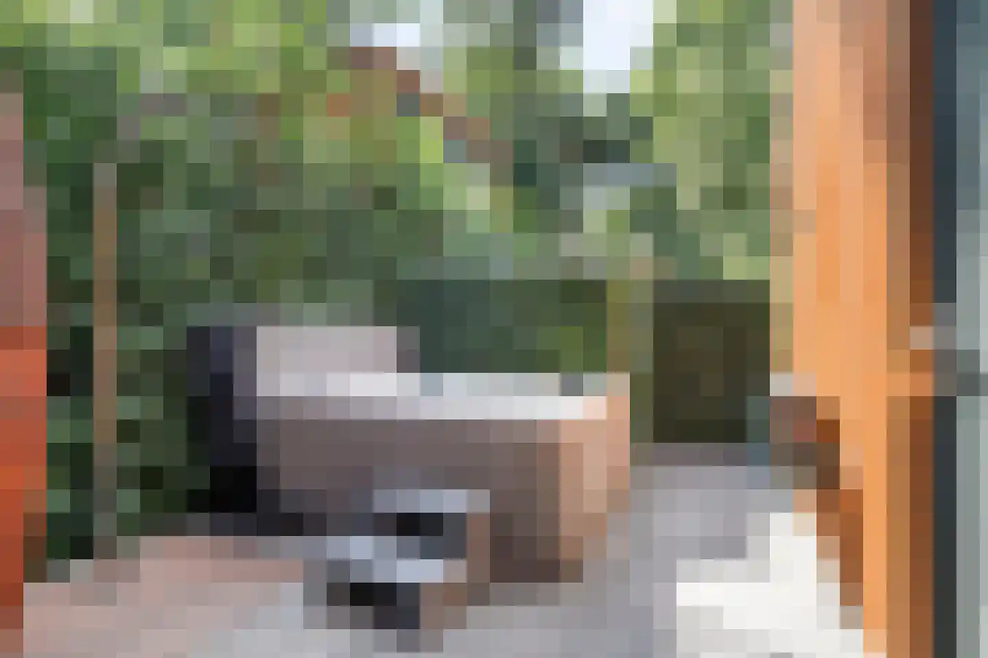Immenweg 15 529 Lunteren thumbnail 36