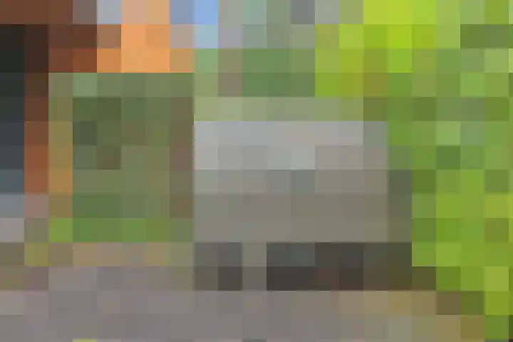 Immenweg 15 529 Lunteren thumbnail 36