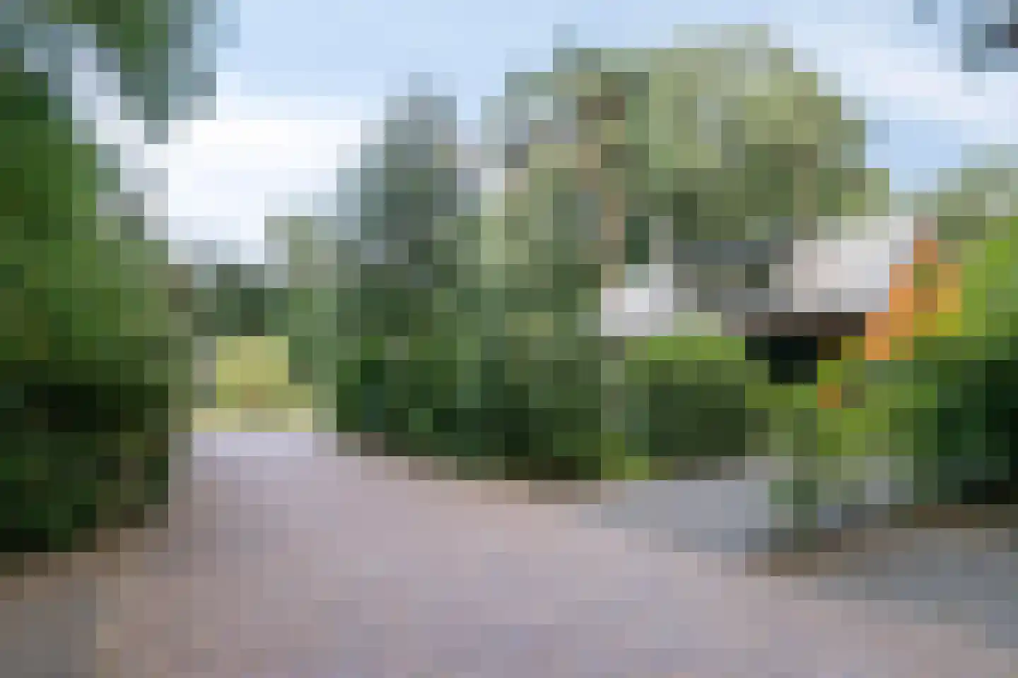 Immenweg 15 529 Lunteren thumbnail 37