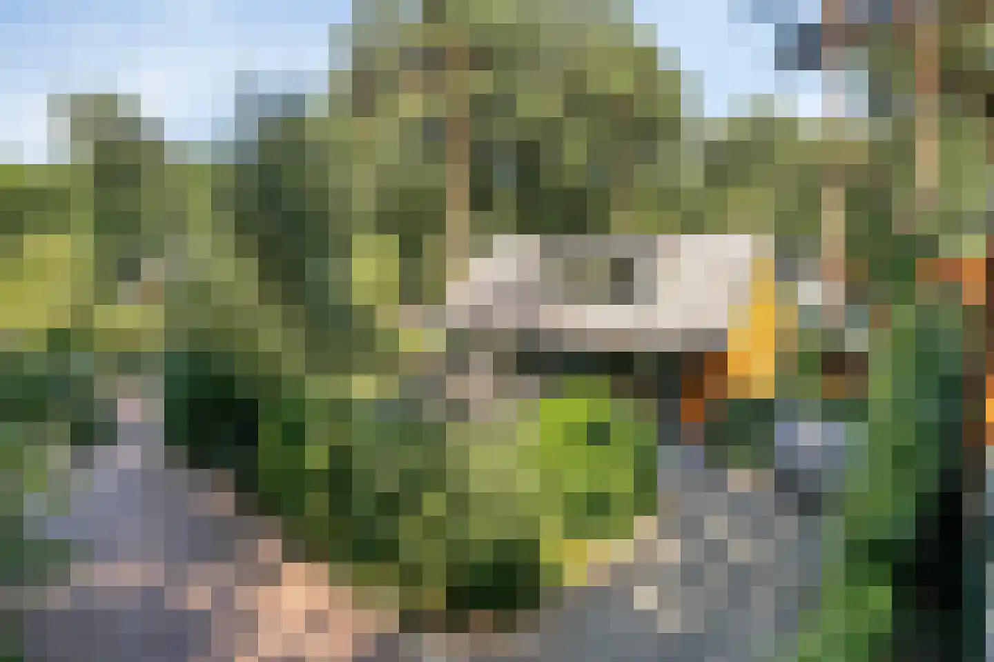 Immenweg 15 529 Lunteren thumbnail 38