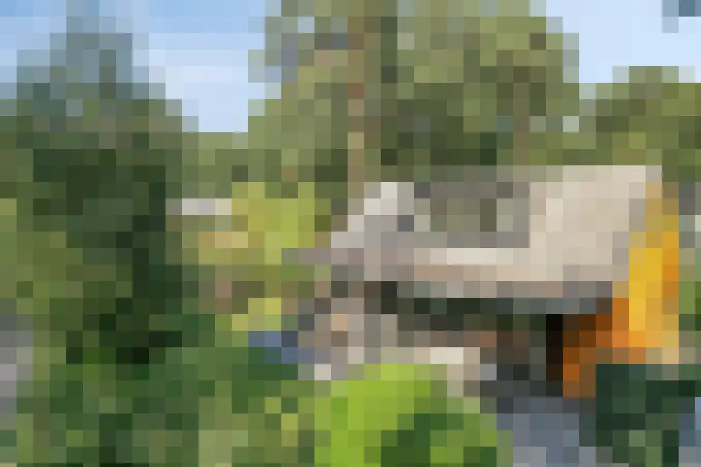 Immenweg 15 529 Lunteren thumbnail 39