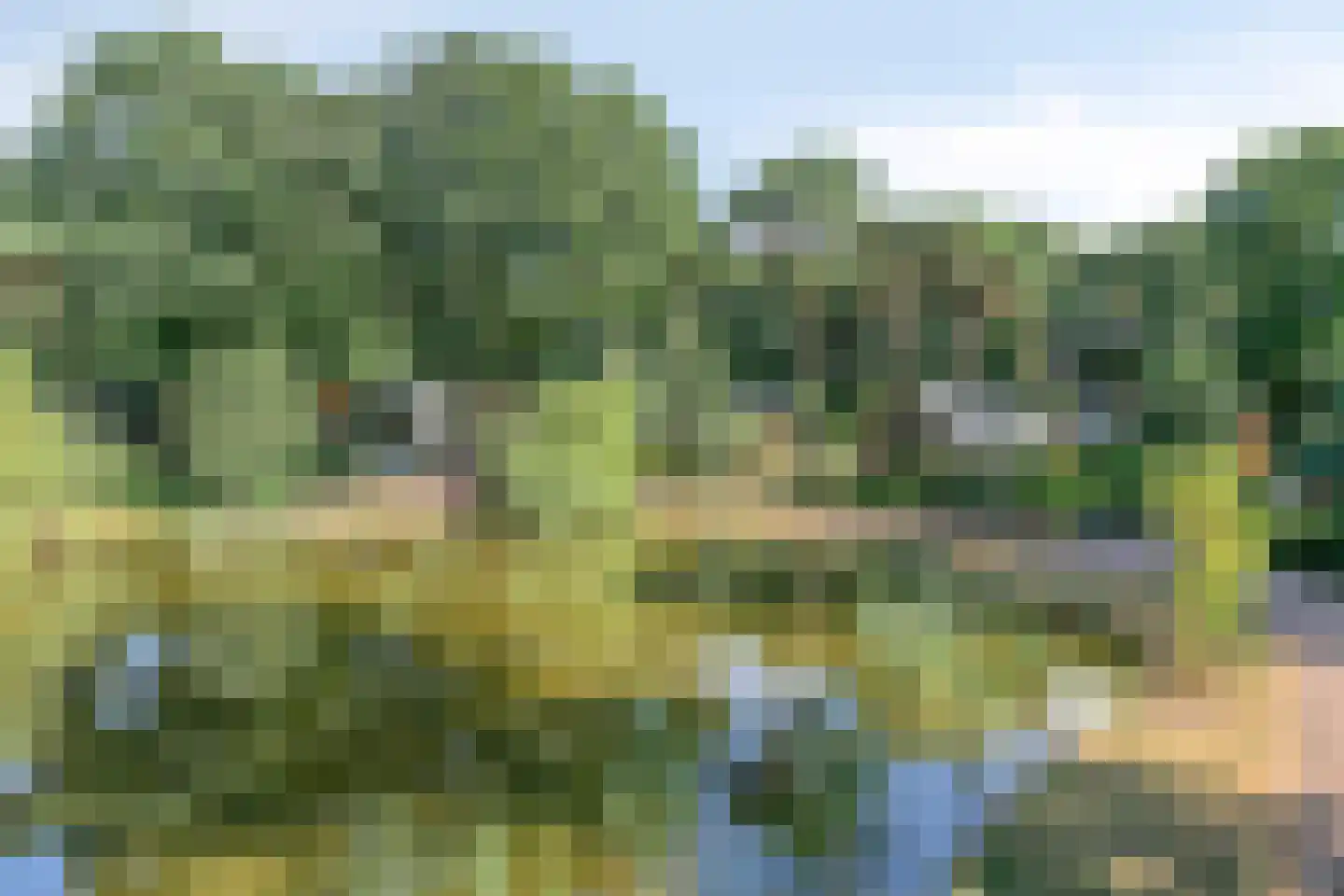 Immenweg 15 529 Lunteren thumbnail 40