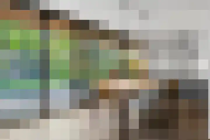Immenweg 15 531 Lunteren thumbnail 10
