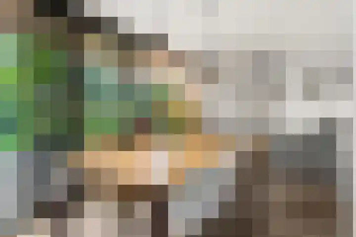 Immenweg 15 531 Lunteren thumbnail 11