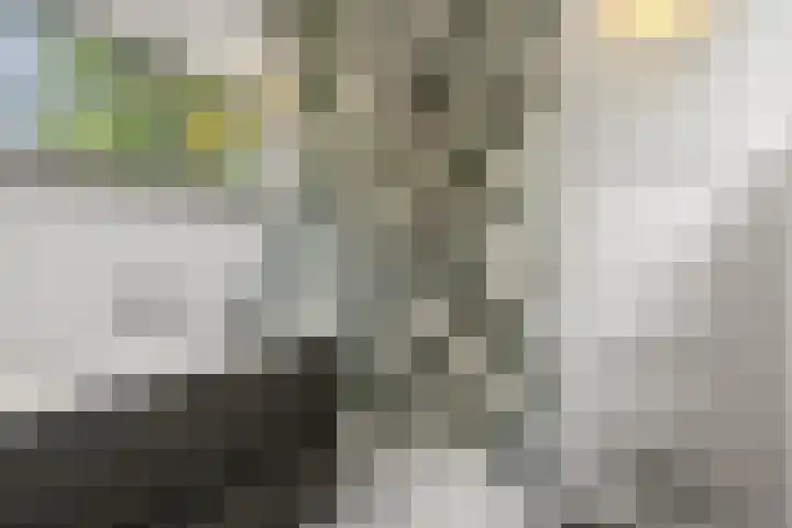 Immenweg 15 531 Lunteren thumbnail 18