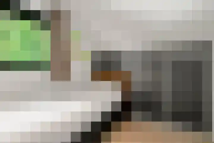 Immenweg 15 531 Lunteren thumbnail 29