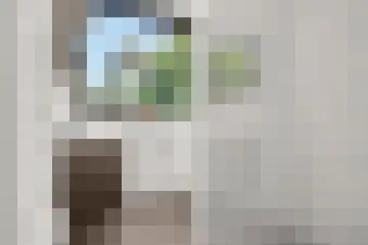 Immenweg 15 531 Lunteren thumbnail 30