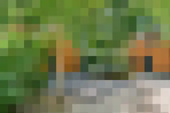 Immenweg 15 531 Lunteren thumbnail 33