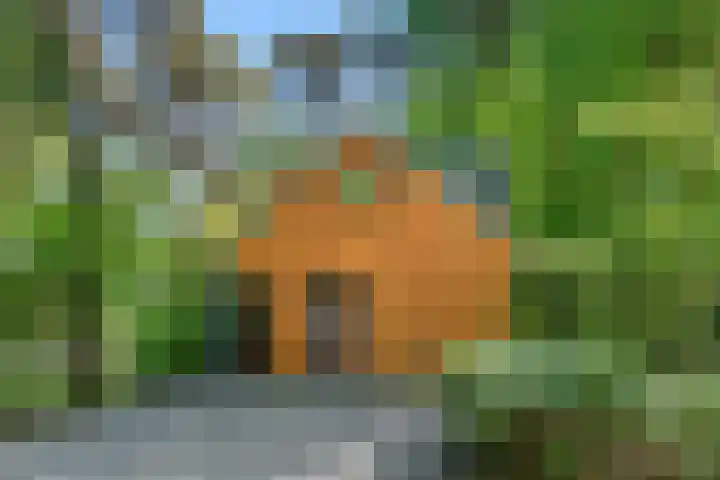 Immenweg 15 531 Lunteren thumbnail 34