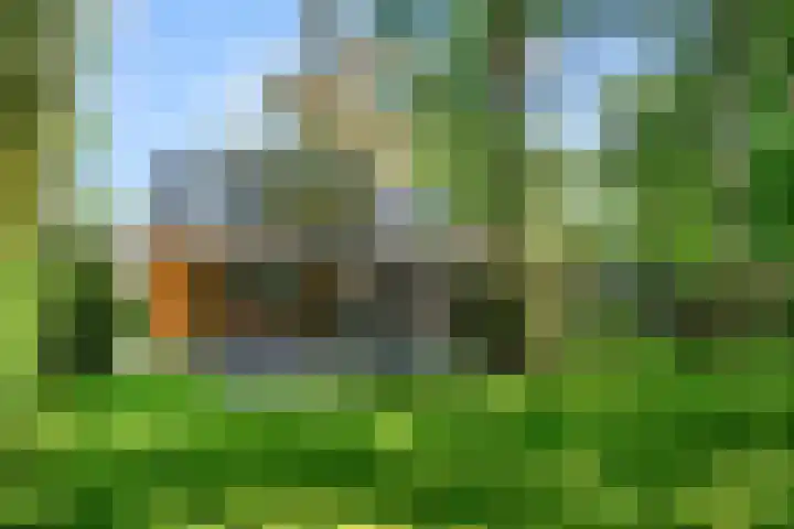 Immenweg 15 531 Lunteren thumbnail 35