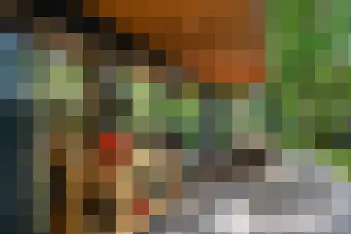 Immenweg 15 531 Lunteren thumbnail 36