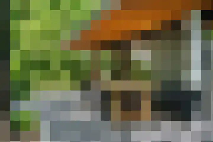 Immenweg 15 531 Lunteren thumbnail 37