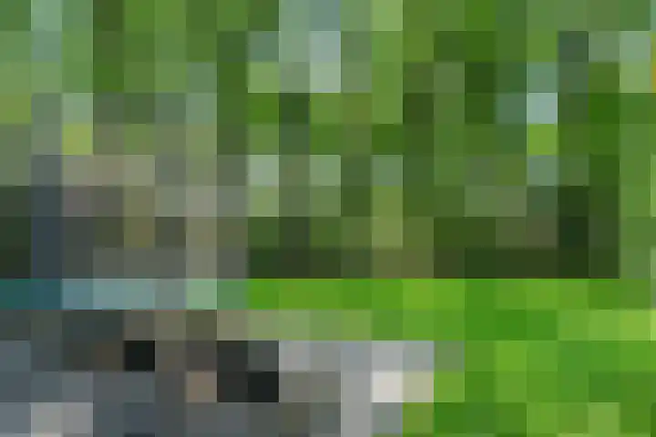 Immenweg 15 531 Lunteren thumbnail 38