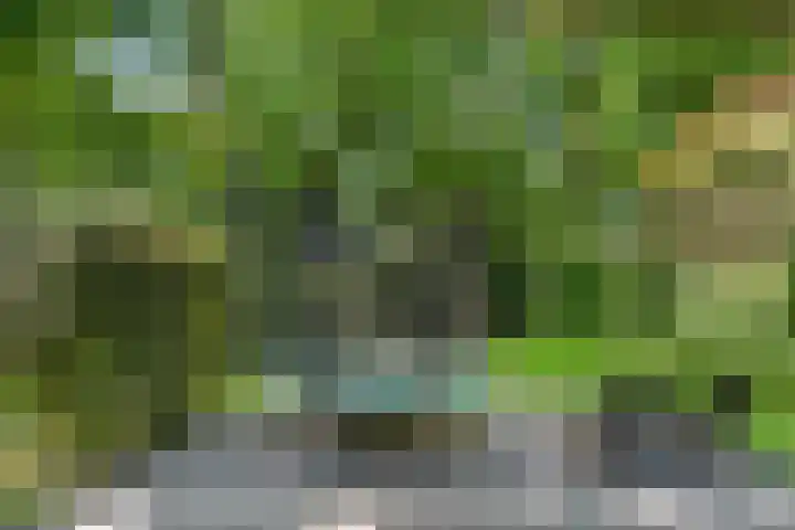 Immenweg 15 531 Lunteren thumbnail 39