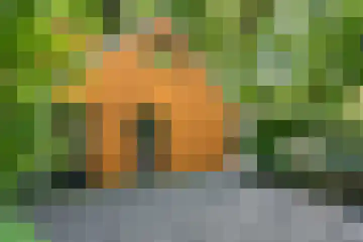 Immenweg 15 531 Lunteren thumbnail 4