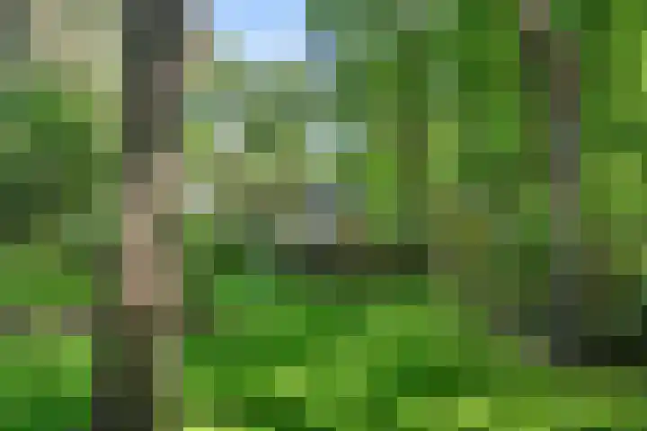 Immenweg 15 531 Lunteren thumbnail 40
