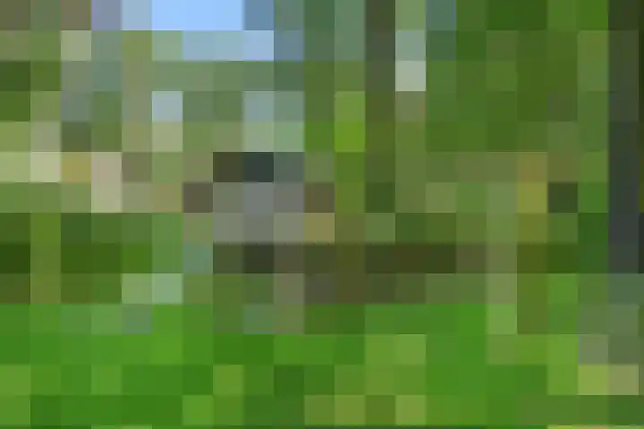 Immenweg 15 531 Lunteren thumbnail 41