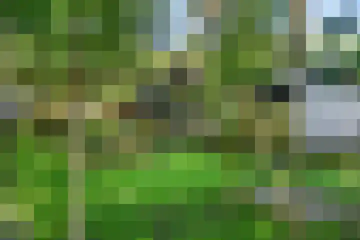 Immenweg 15 531 Lunteren thumbnail 42