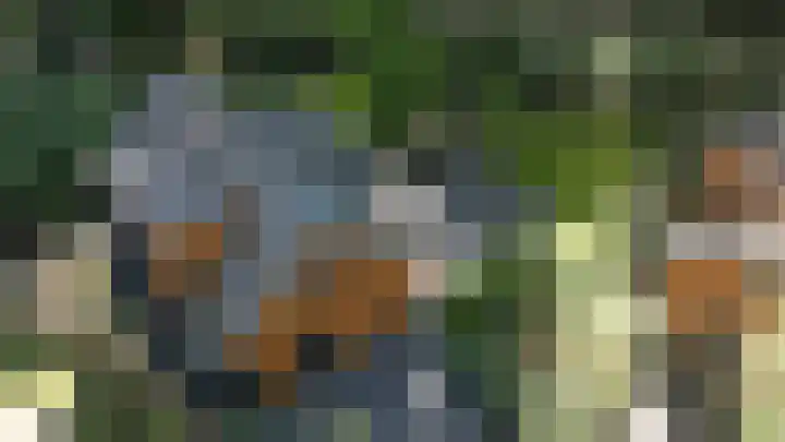Immenweg 15 531 Lunteren thumbnail 43