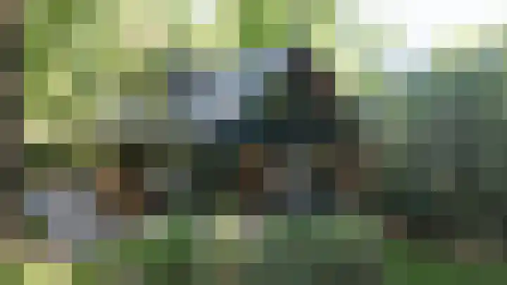 Immenweg 15 531 Lunteren thumbnail 44