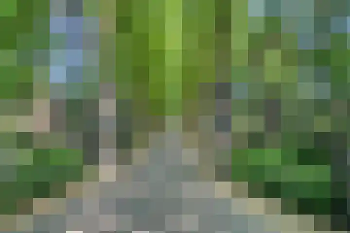 Immenweg 15 531 Lunteren thumbnail 45
