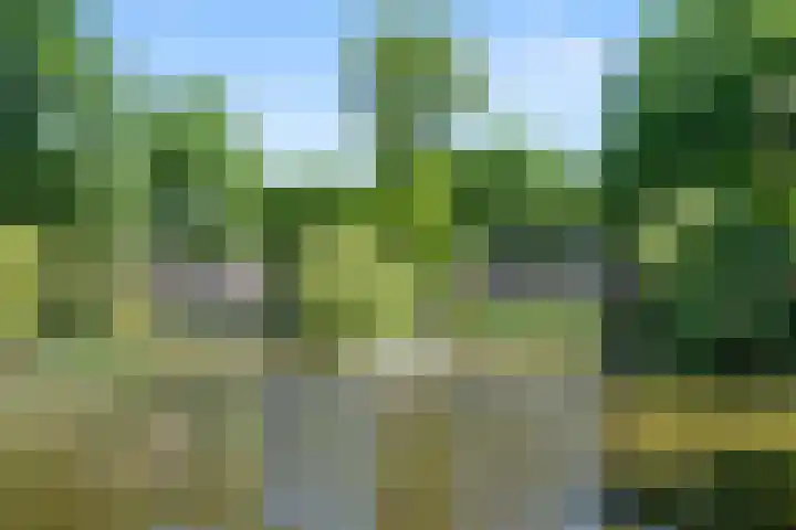 Immenweg 15 531 Lunteren thumbnail 46